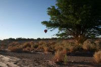 Bilder Chile Und Brasilien 468 (Kopie)